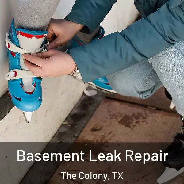  Basement Leak Repair The Colony, TX
