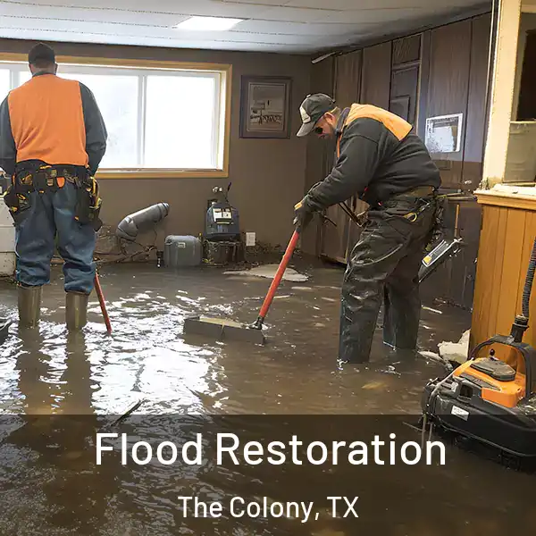  Flood Restoration The Colony, TX