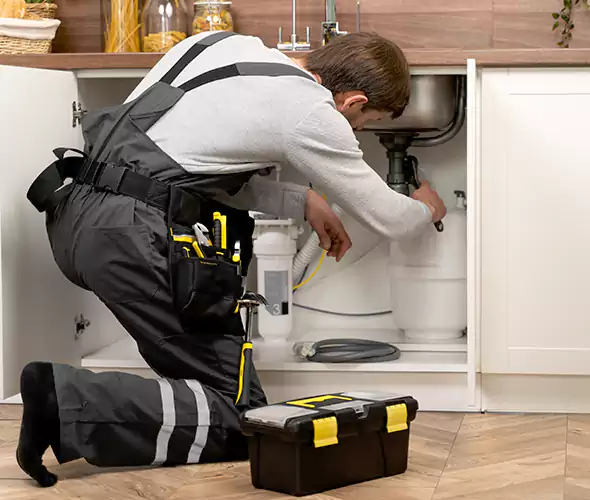 Certified Plumbers for Insinkerator Installation in The Colony
