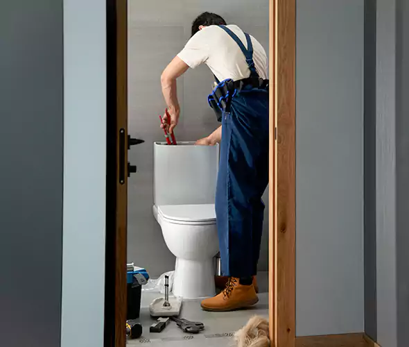 Professional Plumbers for Toilet Bowl Replacement in The Colony, TX: Schedule Affordable Toilet Replacement Services With Us