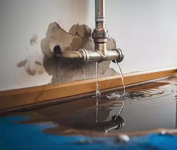 Professional Water Damage Restoration Experts in The Colony, TX — Fast, Reliable & Certified