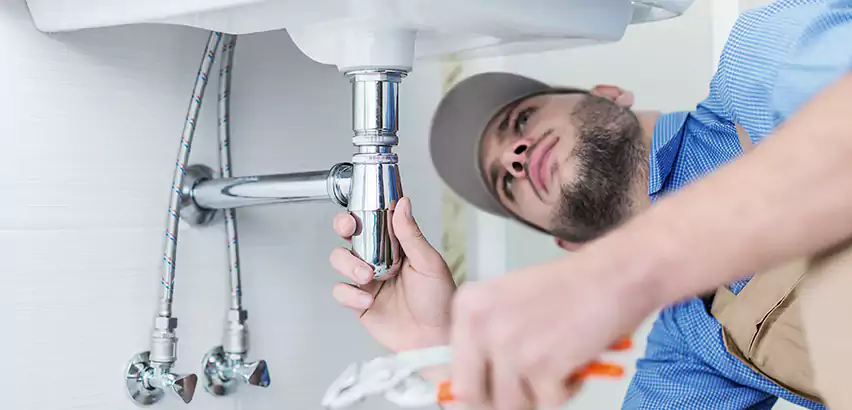 Leak Detection in The Colony