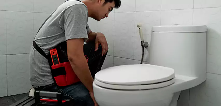 Toilet Repair in The Colony