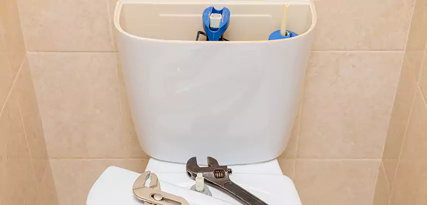 Upflush Toilet Installation in The Colony