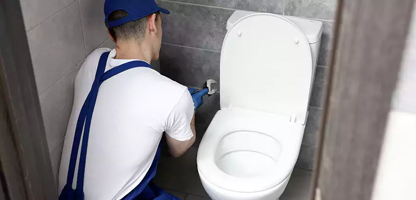 Toilet Lid Replacement in The Colony