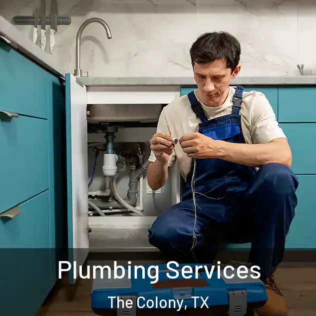 Plumbing Services The Colony, TX