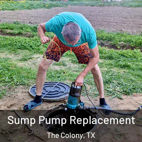  Sump Pump Replacement The Colony, TX