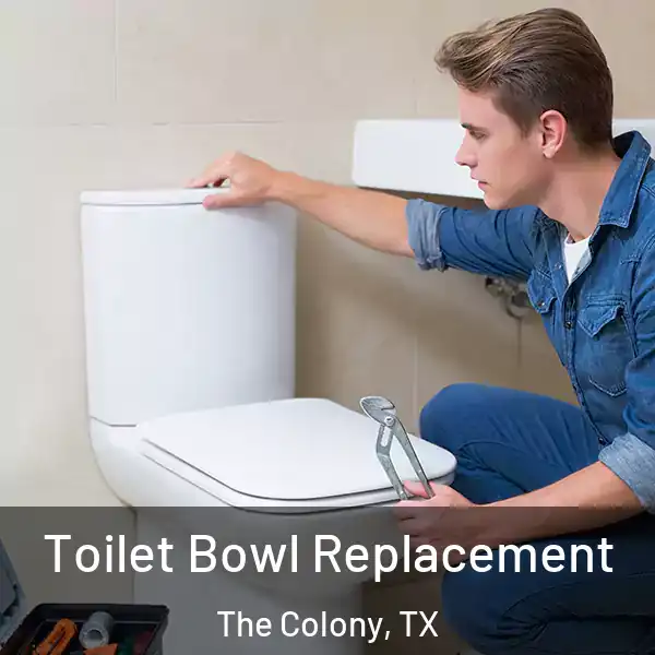  Toilet Bowl Replacement The Colony, TX